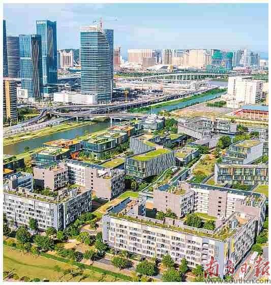 大横琴集团：勇担使命助力粤澳合作谱新篇